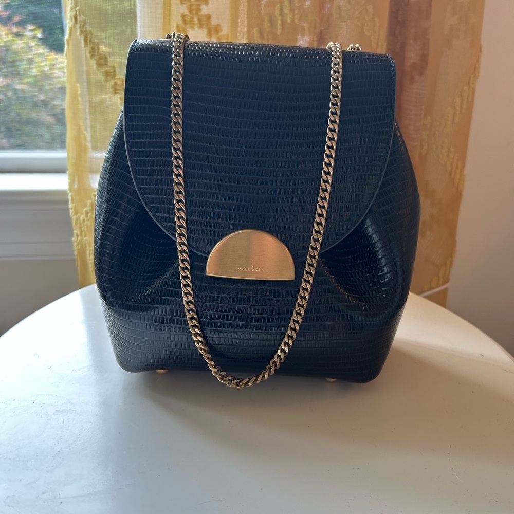 Polène Designer black lizard embossed cross body.I’m the original owner.